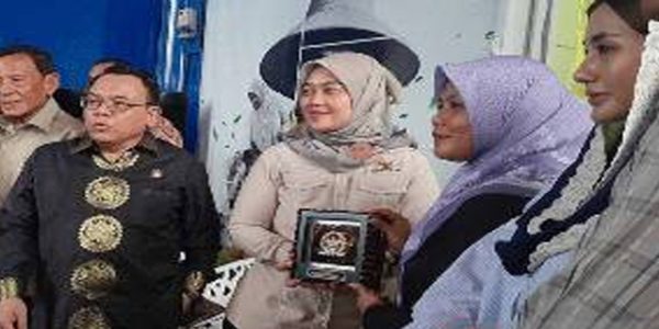 DPR RI Dorong Rekayasa Teknologi Kurangi impor Garam Industri