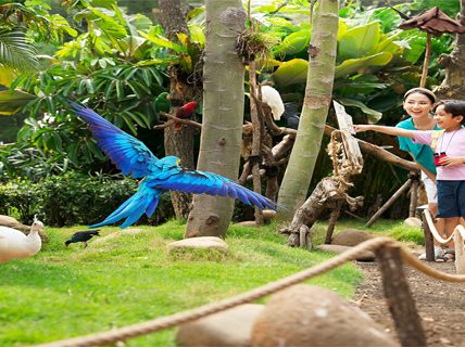 Liburan Ramah Anak Sekaligus Edukatif Coba Wisata Eco Learning Tourism!