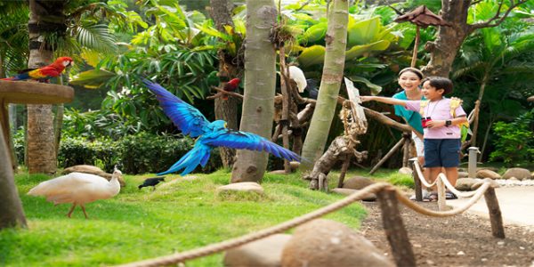 Liburan Ramah Anak Sekaligus Edukatif Coba Wisata Eco Learning Tourism!