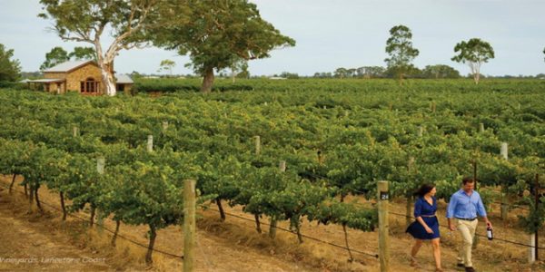 Mengapa Anggur Rockstar Mount Gambier Layak Untuk Dikunjungi