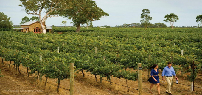 Mengapa Anggur Rockstar Mount Gambier Layak Untuk Dikunjungi