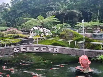 Wisata Alam Malang Ramah Kantong Penuh Spot Foto Estetik dan Menawan