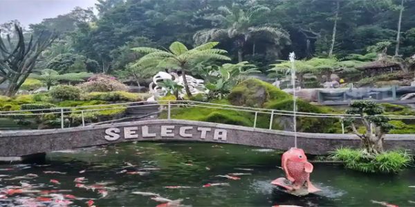 Wisata Alam Malang Ramah Kantong Penuh Spot Foto Estetik dan Menawan