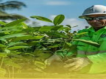 Lewat Teknologi Ini, NHM Berkomitmen Terapkan Praktik Green Mining