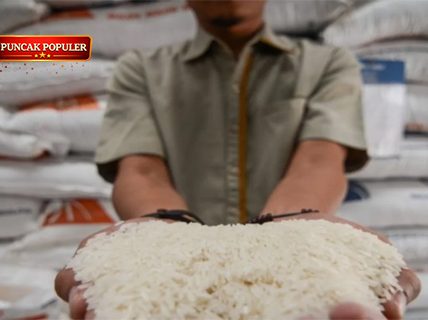 Bulog Gandeng BRIN Untuk Cegah Beras Berkutu Pakai Teknologi Baru