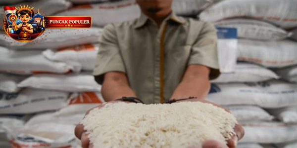 Bulog Gandeng BRIN Untuk Cegah Beras Berkutu Pakai Teknologi Baru