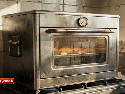 Berita Properti Terpopuler Tanaman Hias hingga Kisaran Harga Oven Gas